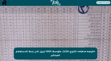 «فرصة مذهلة» نتائج الثالث متوسط 2025 أربيل الآن رابط الاستعلام المباشر
